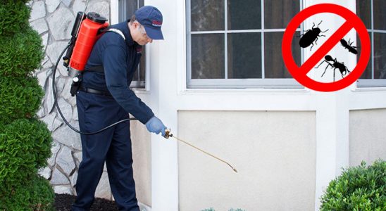 Doğançay Karınca İlaçlama böcek ilaçlama ve haşere kontrolü — ilaclama-tr.com